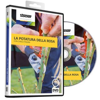 DVD La Potatura delle Rose - Stocker