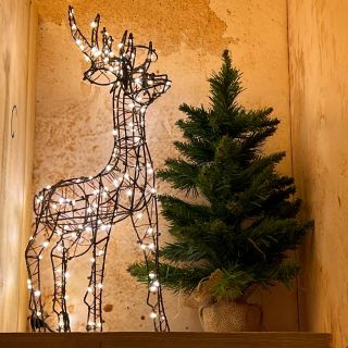 Renna 3D BWM Marrone H50cm 120 MicroLED BIANCO CALDO ø1,5mm - Lotti Importex