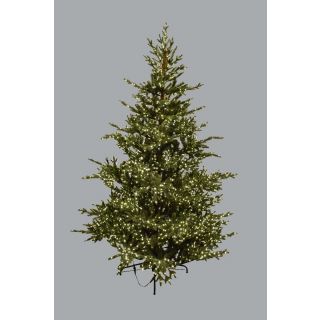 Albero Natale 