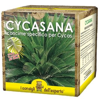 Concime Cycasana 750 Gr - I consigli dell'esperto