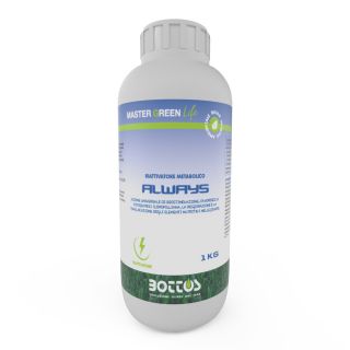 Biostimolante Master Green Life Always 1 Kg - Bottos