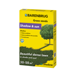 Seme Barenbrug Shadow per prato all'ombra con festuca ovina