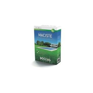 Seme Zollaverde Maciste 1 Kg - Bottos