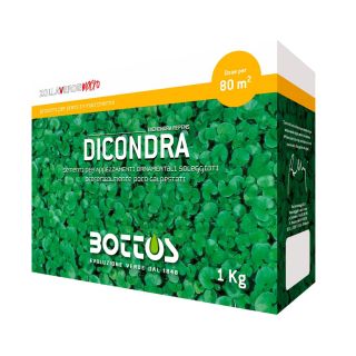 Seme Dichondra Repens 1 Kg - Bottos - Bottos